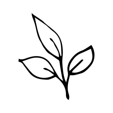 Yaz yapraklarının basit bir karalaması. El çizimi vektör grafikleri. siyah ve beyaz resimleme