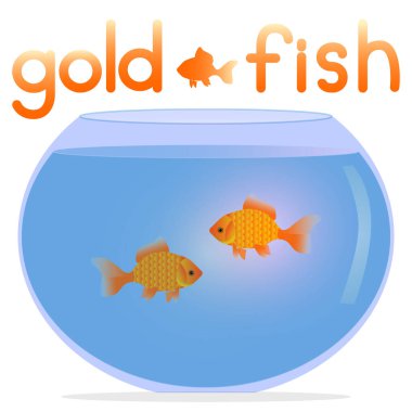 Sulu akvaryum ve iki süs balığı. Üzerinde altın balıklar yazan akvaryum. Akvaryumlu sihirli süs balığı. Evcil hayvan dükkanları.