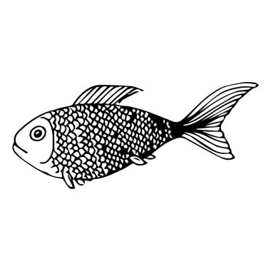 Deniz balığı deseni, vektör illüstrasyonu 