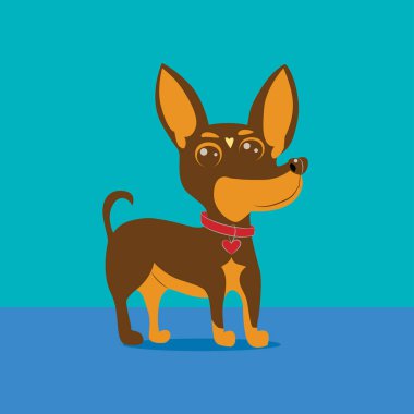 Chihuahua cinsinin küçük bir köpek tasviri. Küçük bir köpeğin vektör çizimi.