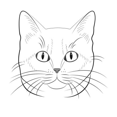 Boyama kitabı için sevimli bir kedi. Küçük kedi, siyah beyaz vektör çizimi