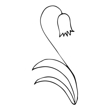 Basit yaz çiçeği çizimleri. Soyut çiçek çizimi. El çizimi vektör sanatı. Siyah beyaz resimleme