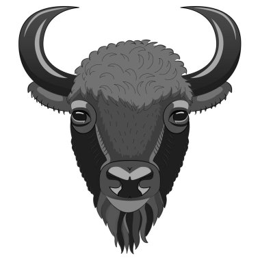 Bison head. Portrait of a wild bull. A handsome bull.