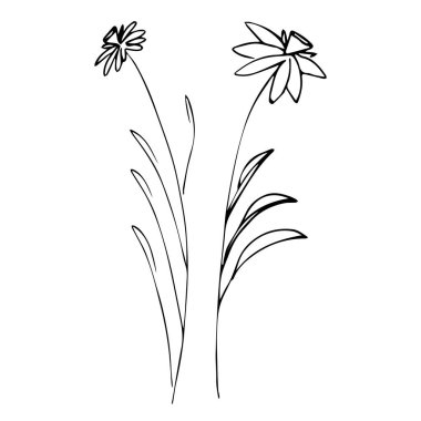 Basit yaz çiçekleri çizimleri. Soyut çiçek illüstrasyonu. El çizimi vektör sanatı. siyah beyaz resimleme