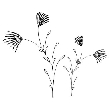 Basit yaz çiçekleri çizimleri. Soyut çiçek illüstrasyonu. El çizimi vektör sanatı. siyah beyaz resimleme