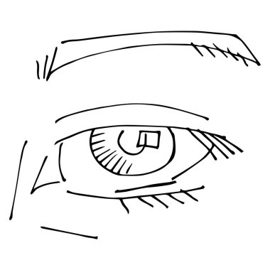 İnsan gözü. Bir göz çizimi ve üstüne bir kaş..