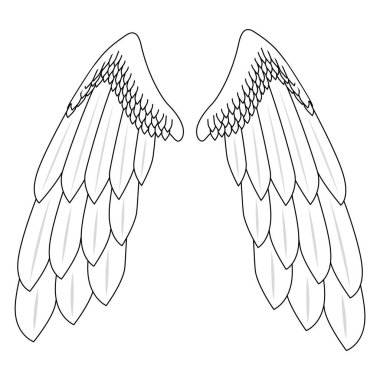 Two wings with large feathers. Angel wings. Part of the costume wings for the flight.