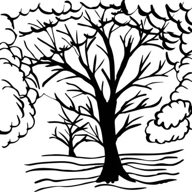 Farklı yükseklikteki birçok ağaç. Yapraksız ağaçlar. Yapraksız dalları olan yapraksız ağaç gövdeleri. Dekorasyon için büyük bitkiler. Yapraksız birçok dal.