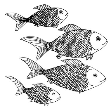 Deniz balığı seti, vektör illüstrasyonu 