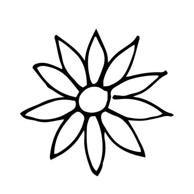 Flower drawn by lines with long petals. Beautiful flower sketch.