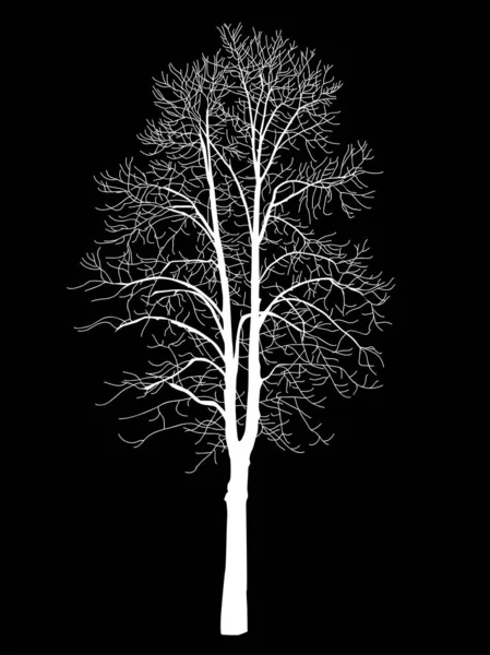 Νεαρό Δέντρο Χωρίς Φύλλα Ένα Δέντρο Που Έχει Πολλά Μακριά — Διανυσματικό Αρχείο