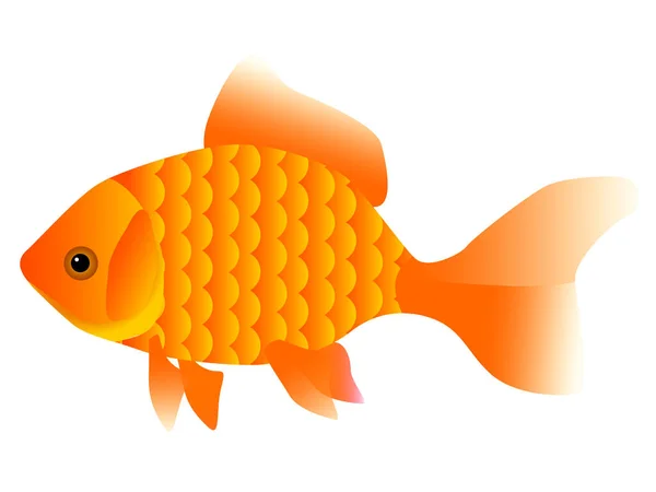 Одинарна Риба Векторні Ілюстрації — стоковий вектор