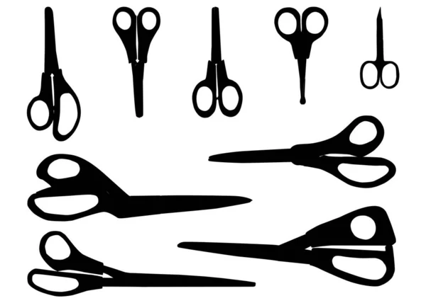 Набор Различных Типов Ножниц Различного Назначения Ножницы Рукоделия Офиса Ногтей — стоковый вектор