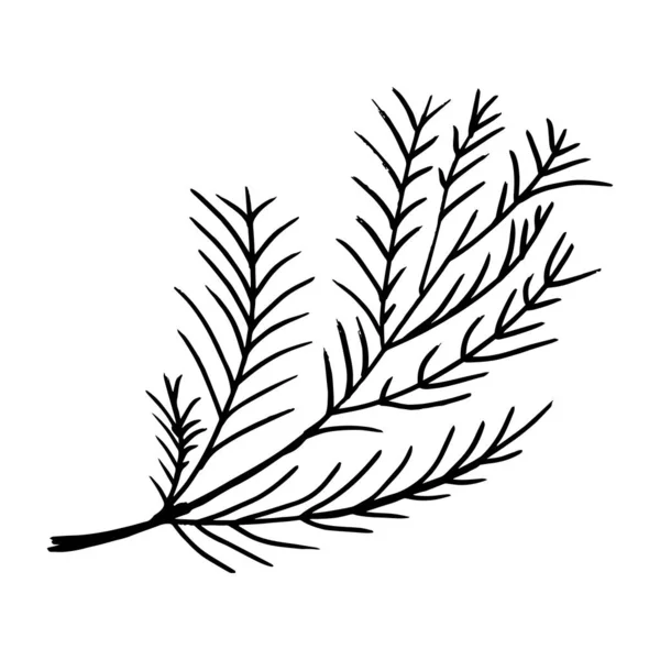 Plantes Dessinées Main Illustration Vectorielle — Image vectorielle