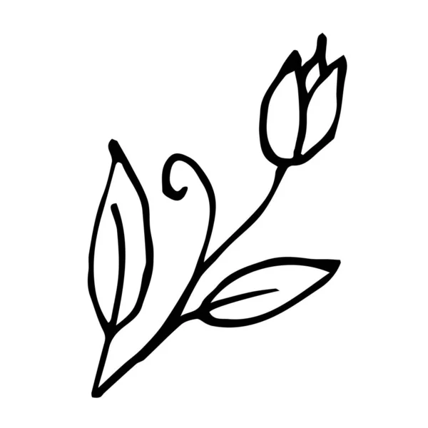 Proste Letnie Rysunki Kwiatów Abstrakcyjna Ilustracja Kwiatowa Ręcznie Rysowana Sztuka — Wektor stockowy