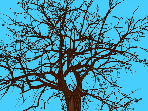 Νεαρό Δέντρο Χωρίς Φύλλα Ένα Δέντρο Που Έχει Πολλά Μακριά — Διανυσματικό Αρχείο