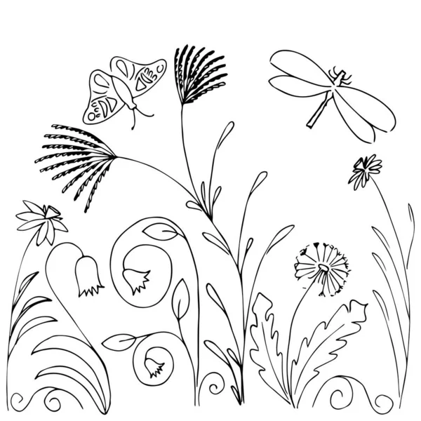 Basit yaz çiçekleri çizimleri. Soyut çiçek illüstrasyonu. El çizimi vektör sanatı. siyah beyaz resimleme