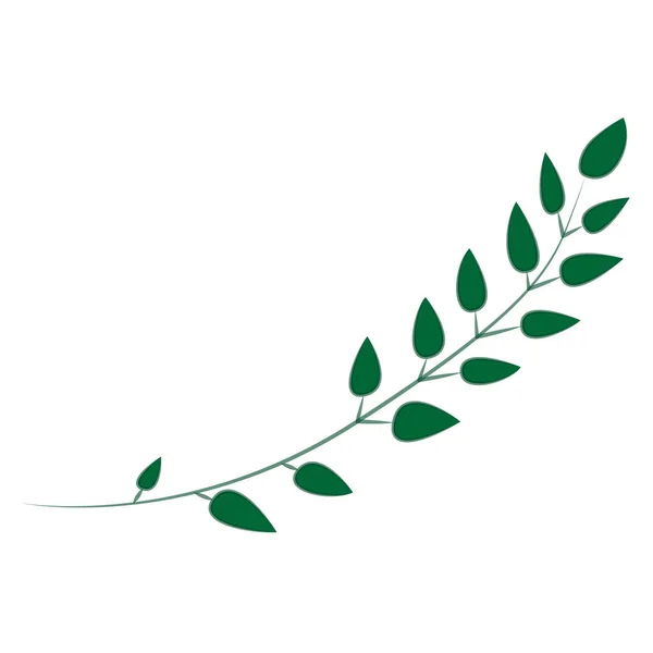 Векторный Набросок Ветки Зелеными Листьями — стоковый вектор