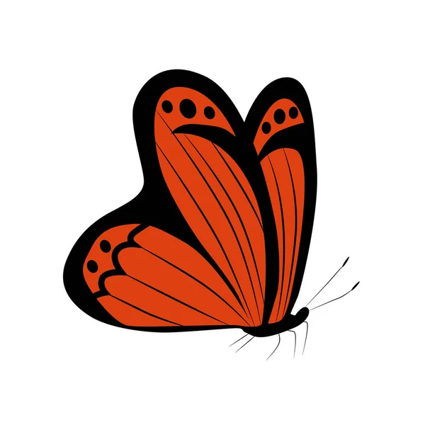 Farfalla Disegnata Mano Disegno Anatomico Della Farfalla — Vettoriale Stock