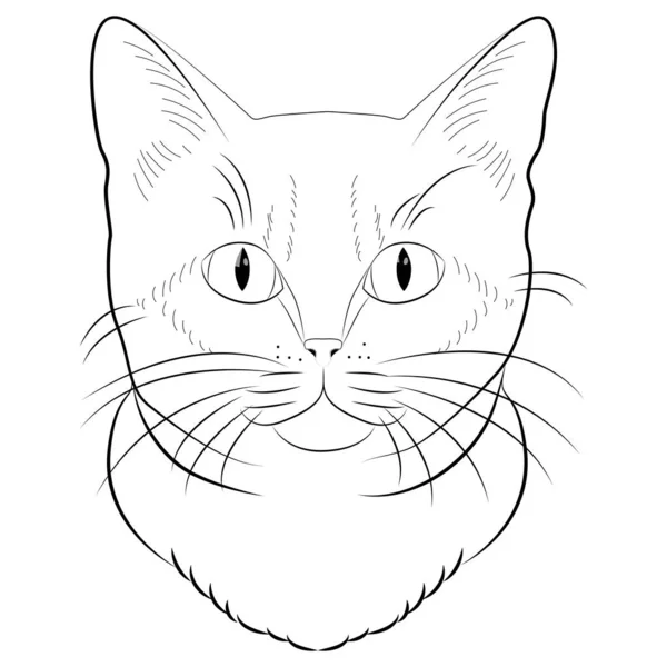 Söt Katt För Målarbok Liten Katt Svart Och Vit Vektor — Stock vektor