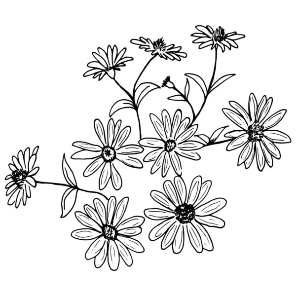Σετ Απλών Καλοκαιρινών Σχεδίων Λουλουδιών Αφηρημένη Απεικόνιση Λουλουδιών Ζωγραφισμένη Στο — Διανυσματικό Αρχείο