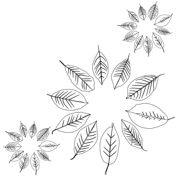 Листья Рисуют Линии Разной Формы Осенние Листья Разных Размеров — стоковый вектор