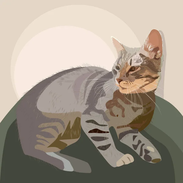 Vector Portrait Drawing Cat Beautiful Kitten Illustration Printing Fabric Paper — Stock Vector
