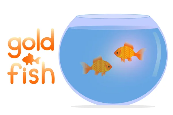 Illustration Aquarium Two Goldfish Pets Aquarium Glass Aquarium Water Goldfish —  Vetores de Stock