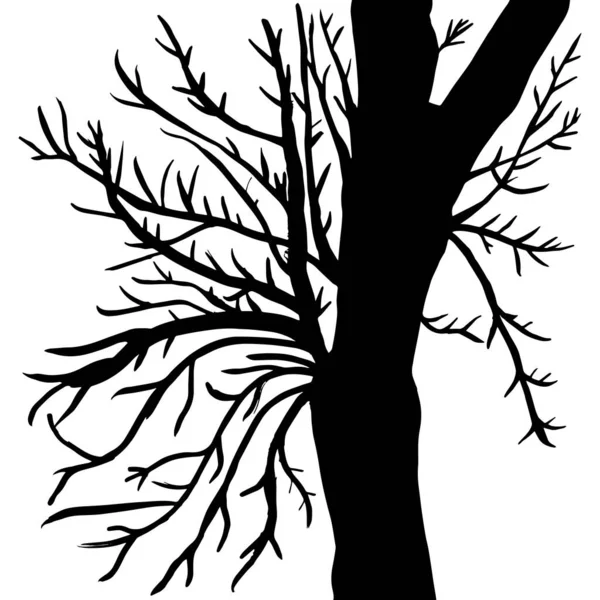 Árbol Hecho Líneas Símbolo Del Árbol Dibujo Simple Vector Árbol — Vector de stock