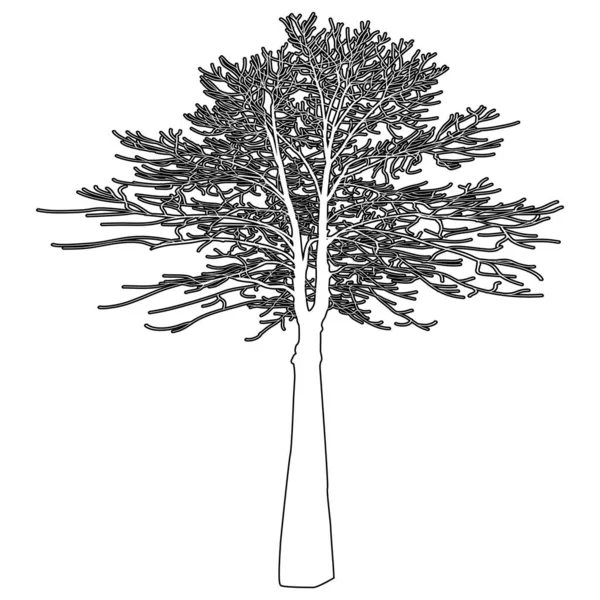 葉のない若い木 長い枝の多い木 — ストックベクタ
