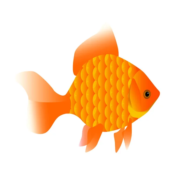 Ілюстрація Золота Рибка Помаранчево Золотистого Кольору Риба Акваріума Тварина Живе — стоковий вектор