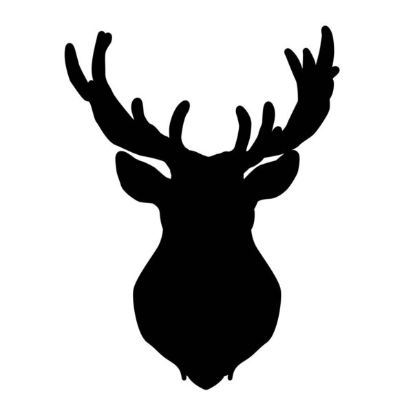 Drawing of a beautiful deer. Deer with antlers.