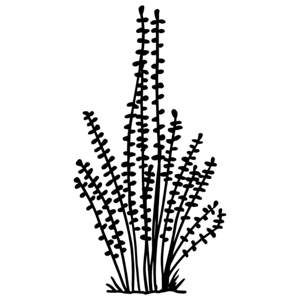 Растения Ручной Работы Векторная Иллюстрация — стоковый вектор