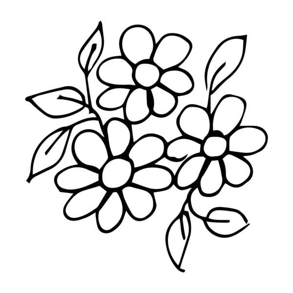 Flower Drawn Lines Long Petals Beautiful Flower Sketch — ストックベクタ