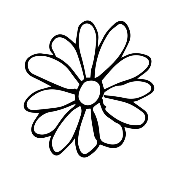 Flor Dibujada Por Líneas Con Pétalos Largos Hermoso Boceto Flor — Vector de stock