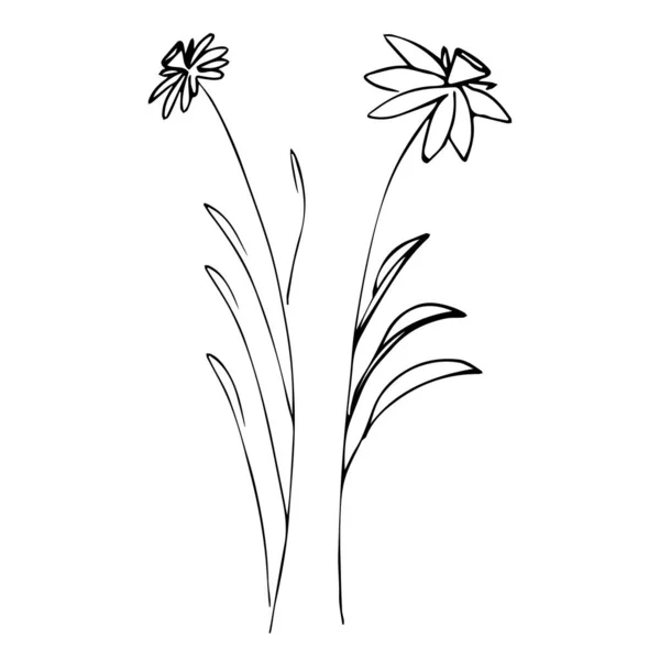 Ensemble Dessins Simples Fleurs Été Illustration Fleurs Abstraites Art Vectoriel — Image vectorielle