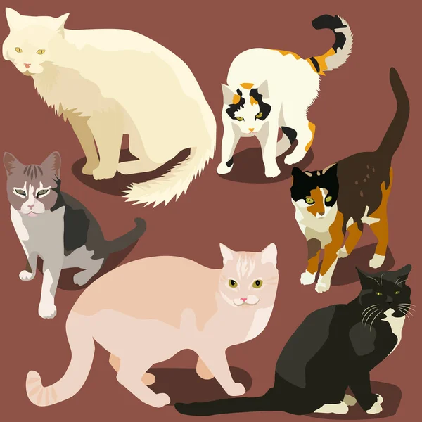 Şirin kediler seti, renkli vektör çizimi 
