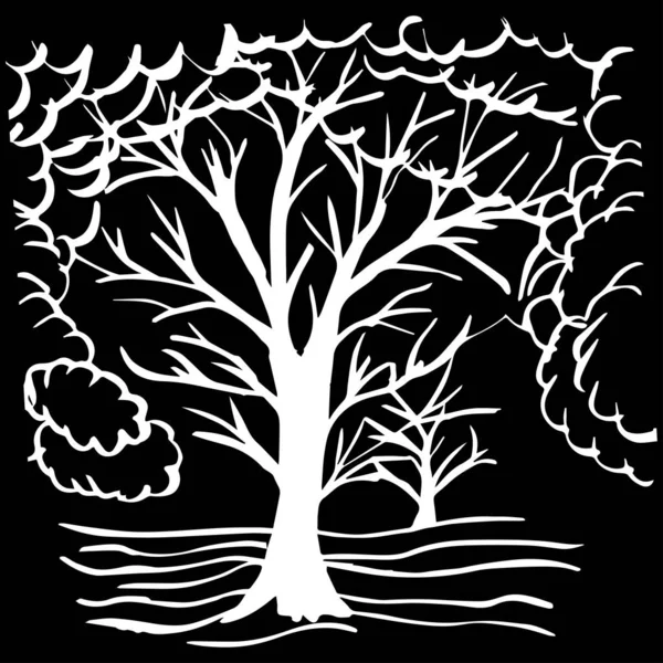 Ungt Träd Utan Löv Ett Träd Som Har Många Långa — Stock vektor