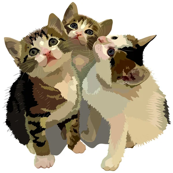 Drie Kittens Leuke Kittens Vector Illustratie Van Huisdieren — Stockvector