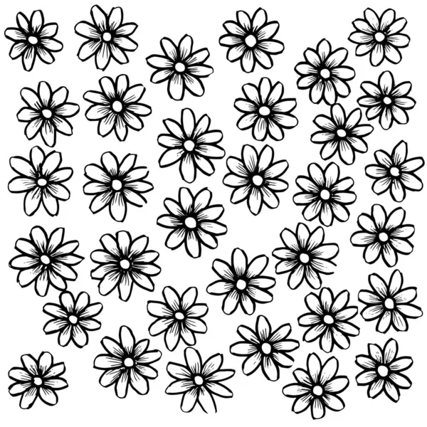 Basit yaz çiçekleri çizimleri. Soyut çiçek illüstrasyonu. El çizimi vektör sanatı. siyah beyaz resimleme
