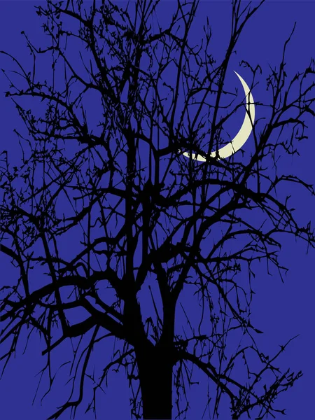 Große Ebenholz Der Nacht Auf Dem Hintergrund Des Neuen Monats — Stockvektor
