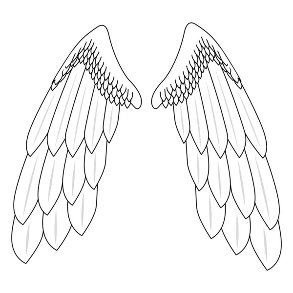 Two wings with large feathers. Angel wings. Part of the costume wings for the flight.