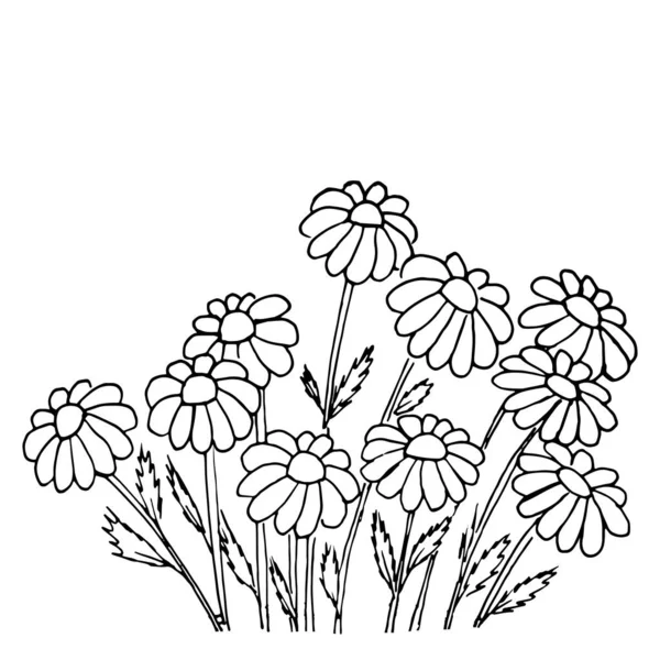 Ensemble Dessins Simples Fleurs Été Illustration Fleurs Abstraites Art Vectoriel — Image vectorielle