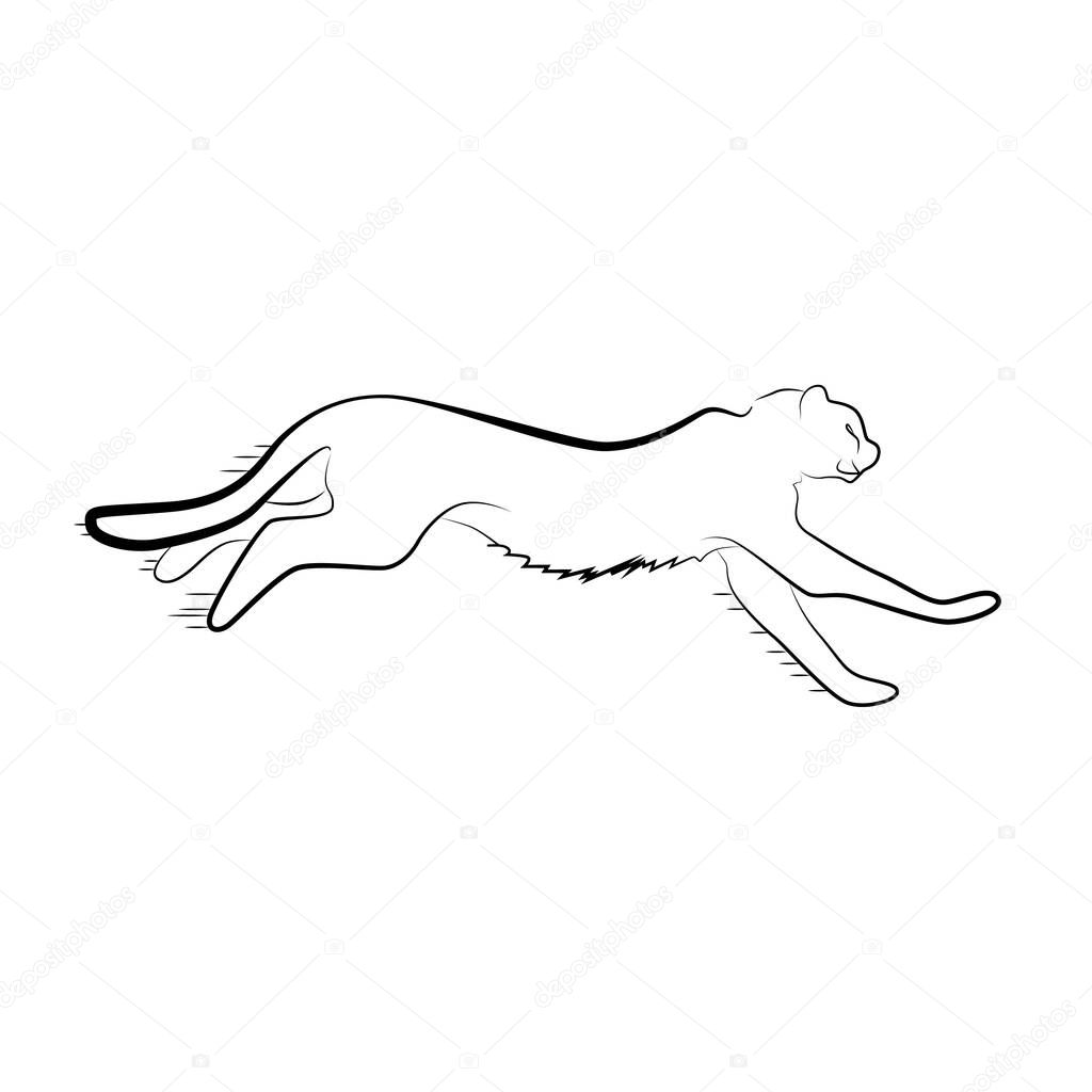 Running jaguar drawn by lines. Wild animal during the chase.