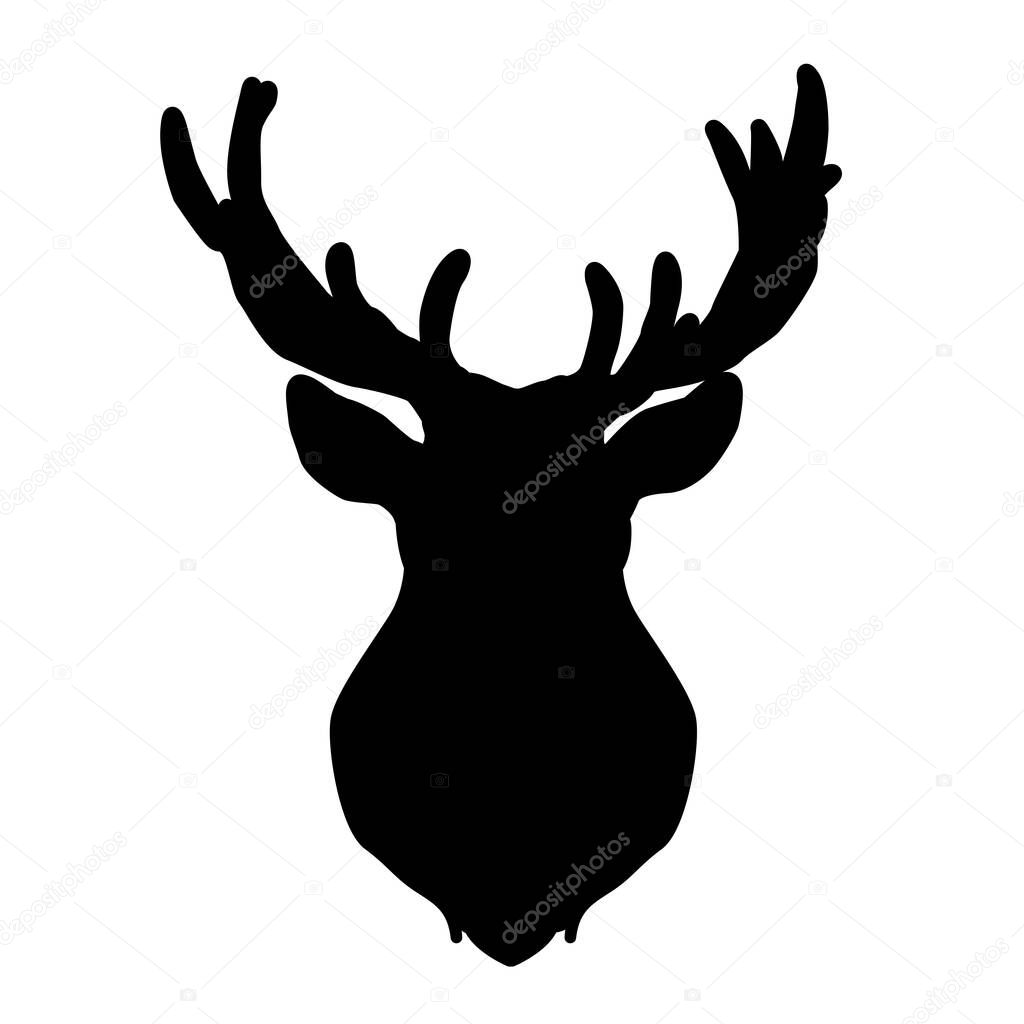 Drawing of a beautiful deer. Deer with antlers.