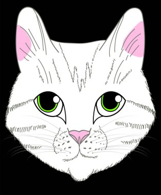 The silhouette of the cat's face. The picture is drawn in black lines on a white background. A quick sketch of a cat.