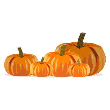 Farklı boyutlarda olgun balkabakları..