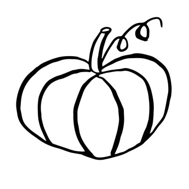 Konturun çizdiği büyük bir balkabağı. Balkabağı sonbaharın meyvesidir.