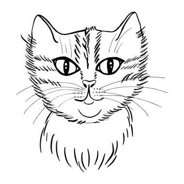 Boyama kitabı için sevimli bir kedi. Küçük kedi, siyah beyaz vektör çizimi