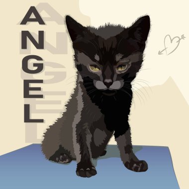 Küçük siyah kedi yavrusu mesaj meleği. İyi şanslar kedi. İyi şans getirmesi için kedi yavrusu..